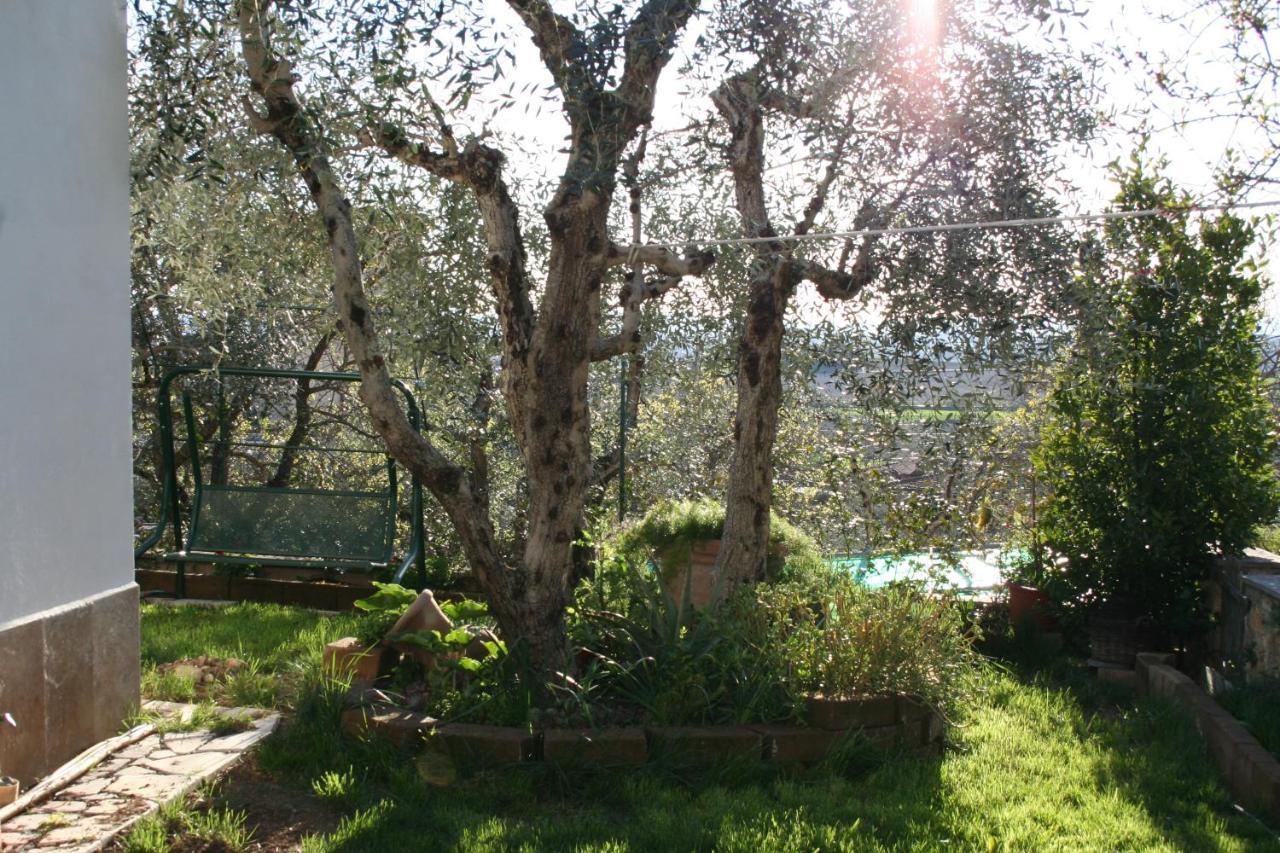 La Taverna Di Sophie Serre Di Rapolano ภายนอก รูปภาพ